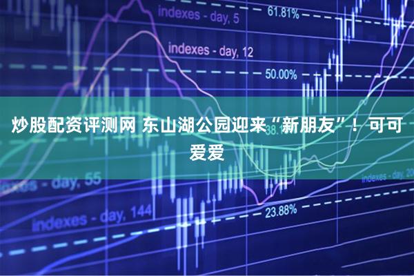 炒股配资评测网 东山湖公园迎来“新朋友”!可可爱爱